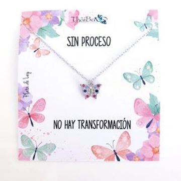 Foto de Collar Plata Mariposa Multicolor