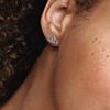 Foto de Pendientes Pandora de botón Golondrina Brillante